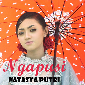 Ngapusi