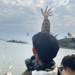 充满希望的明天MMM