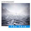 Audio Intelligence - The Skid