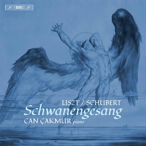 Schwanengesang, S. 560 (After Schubert's D. 957):No. 13, Die Taubenpost