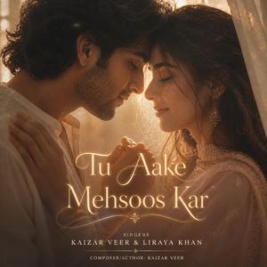 Tu Aake Mehsoos Kar (feat. Liraya Khan)