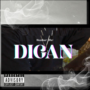 Digan