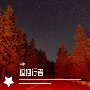 Hans Zimmer-星际穿越（中中 remix）