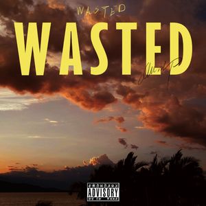 WASTED
