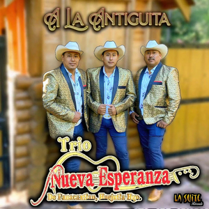 No Me Veo Con Alguien Más