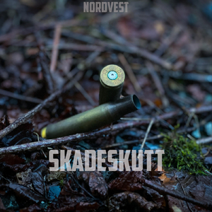 Skadeskutt (Akustisk)