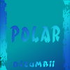 DJ ZUMBII - Polar
