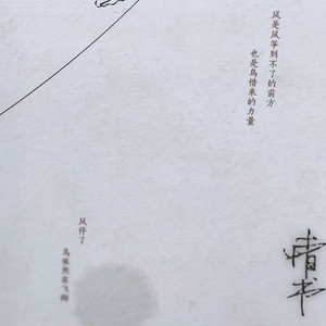 菠菜自语