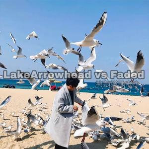 LakeArrowhead vs Faded(Mix)