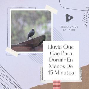 La lluvia en la selva amazónica