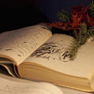 Değil (Üstad Misafirler: Orhan Veli Kanık)