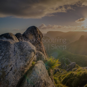 Whispers of Calm Night