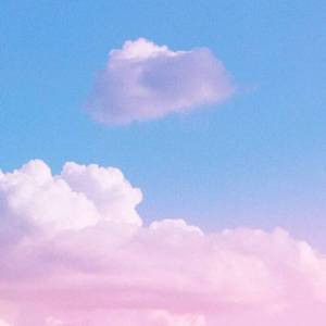 没骗你（No Lie）