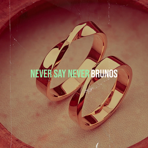Never Say Never