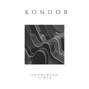 Kondor