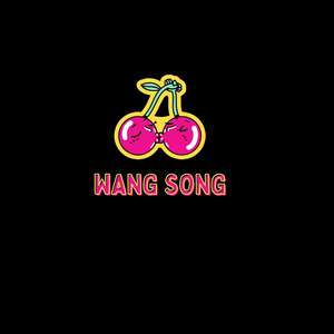 Wang Song