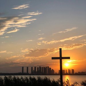 我们总在爱情里死不悔改