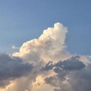 Hey kong（live版）伴奏扒带