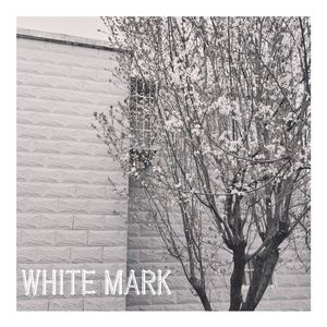 white mark