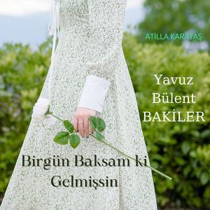 Yavuz Bülent Bakiler - Birgün Baksam ki Gelmişsin