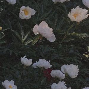 醒着醉（cover：马良）