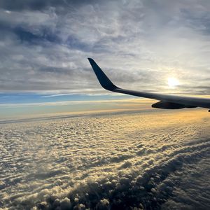 我的伤痛回头看过冬