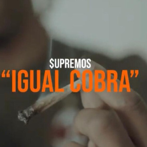 Igual Cobra
