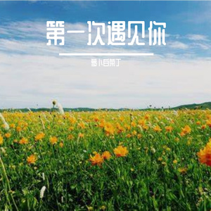 第一次遇见你