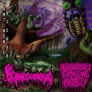 proyecto HxExA (Ahorcado Con Un Pedazo De Cable Y Descuartizado Con Un ArcoDe Sierra)