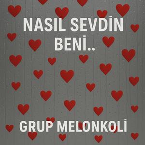 NASIL SEVDİN BENİ