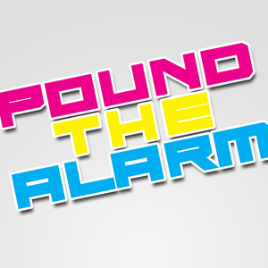 Pound The Alarm (Origionally Performed by Nicki Minaj) [Karaoke Version]