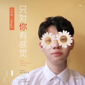 只对你有感觉（抖音版）