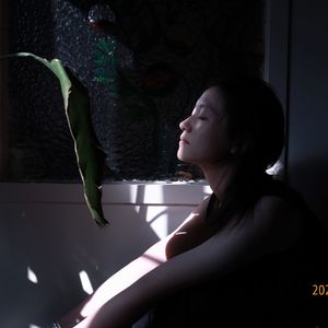 南方秋野 北方春茶