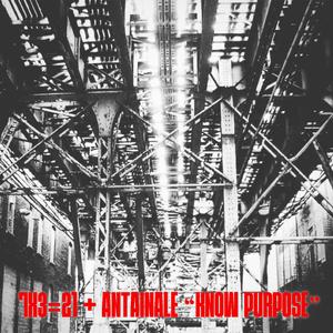 Animal-Like (feat. DJ Real One)