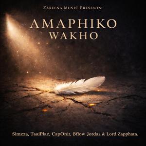 Amaphiko Wakho (feat. Simzza, Taai Plaz, CapOnit, Bflow Jordas & Lord Zapphata)