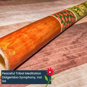 Delta Drone (Analog Drum Backed Didgeridoo)