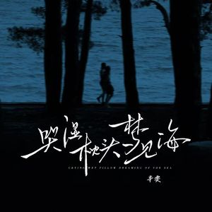 哭湿枕头梦见海(伴奏)