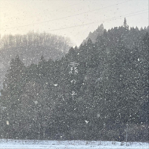 霧の中