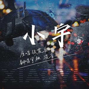 小宇