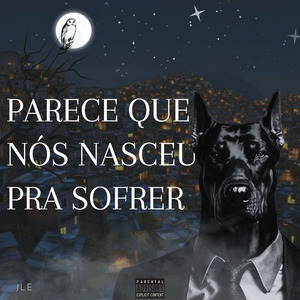 Fúria Negra
