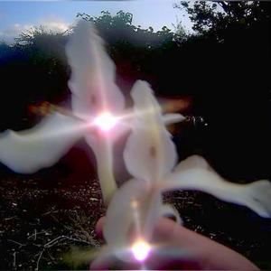 Push start (feat. Leir2luvv)