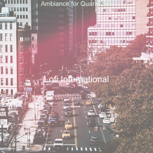 Hip Hop Jazz Lofi - Bgm for All Night Study Sessions