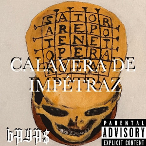 CUBE'S HOOD POLITICS