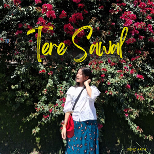 Tere Sawal