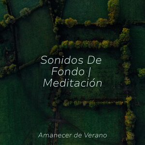 Sueño Aislado en un Capullo