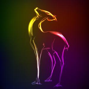 Canopée (The Giant Live)