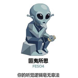 FESO4（匪夷所思）funk版