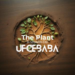 The Seed meets Soil and Water