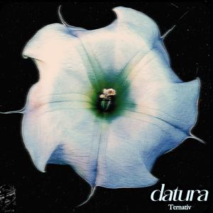 Datura (part.2)