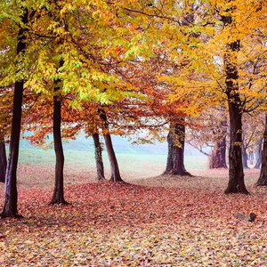 对天空的认真（clouds.cie.ftp)